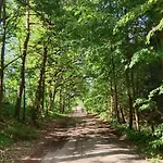 Lesny Zakatek Z Klimatyzacja *