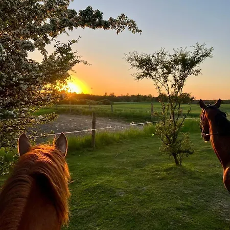 Lesny Zakatek Z Klimatyzacja