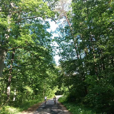 Lesny Zakatek Z Klimatyzacja Feriehus *