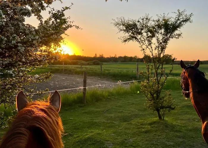 Lesny Zakatek Z Klimatyzacja