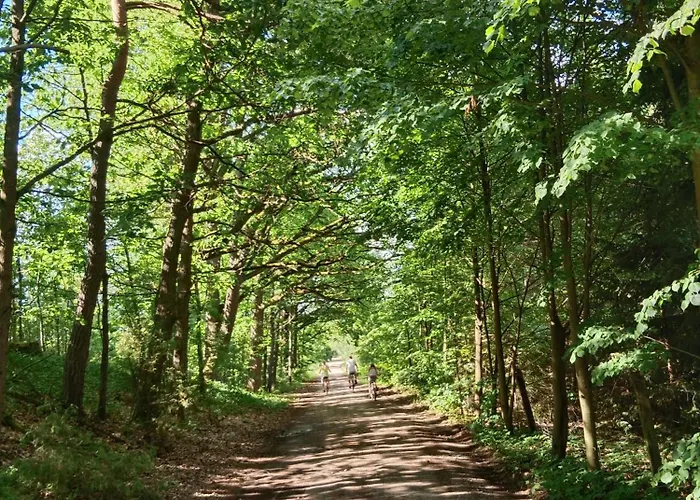 Lesny Zakatek Z Klimatyzacja *