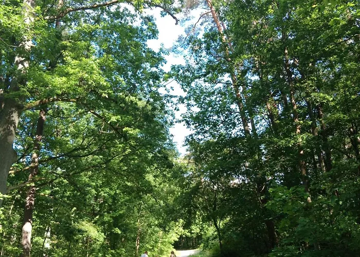 Lesny Zakatek Z Klimatyzacja بيت للعطل *