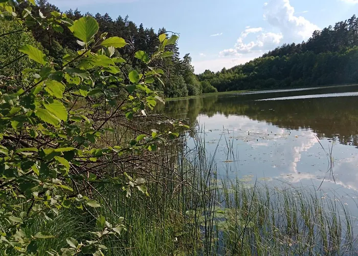 Lesny Zakatek Z Klimatyzacja بيت للعطل